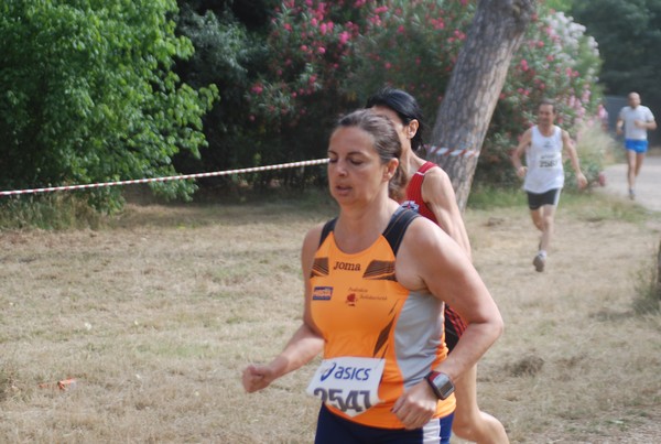 Solstizio d'estate ( C.E.)  (14/06/2015) 00034