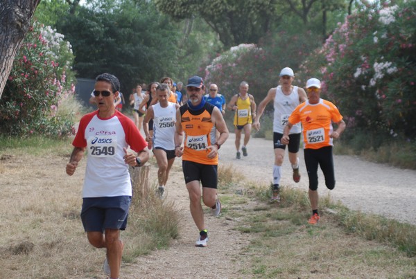Solstizio d'estate ( C.E.)  (14/06/2015) 00037