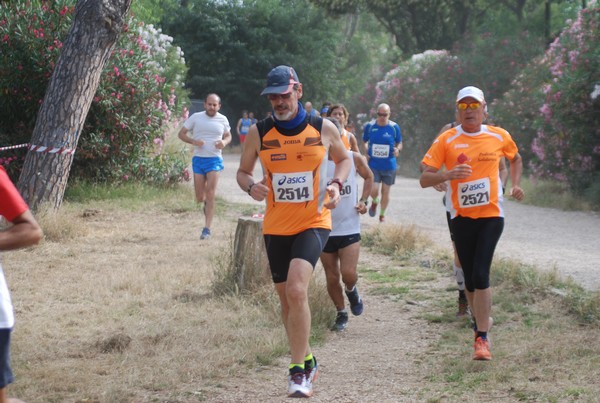 Solstizio d'estate ( C.E.)  (14/06/2015) 00038