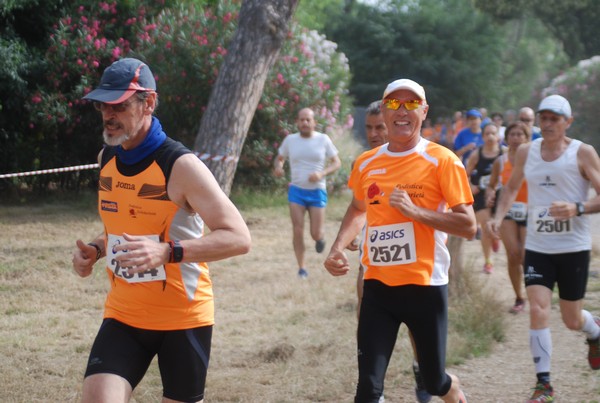 Solstizio d'estate ( C.E.)  (14/06/2015) 00040
