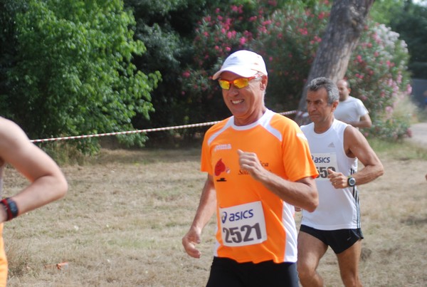 Solstizio d'estate ( C.E.)  (14/06/2015) 00041