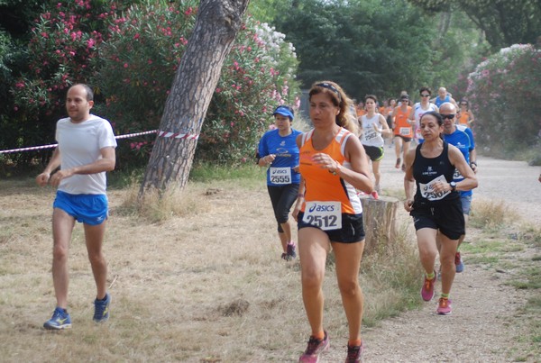 Solstizio d'estate ( C.E.)  (14/06/2015) 00042