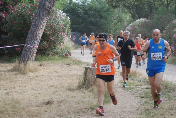 Solstizio d'estate ( C.E.)  (14/06/2015) 00045