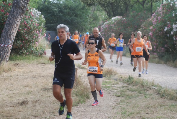 Solstizio d'estate ( C.E.)  (14/06/2015) 00047