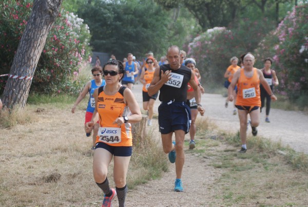 Solstizio d'estate ( C.E.)  (14/06/2015) 00049
