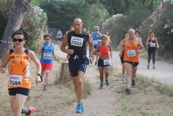 Solstizio d'estate ( C.E.)  (14/06/2015) 00050