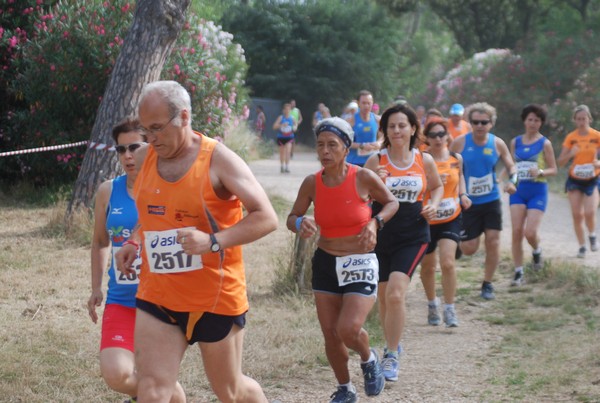 Solstizio d'estate ( C.E.)  (14/06/2015) 00053