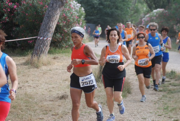 Solstizio d'estate ( C.E.)  (14/06/2015) 00054