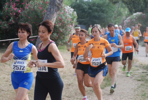 Solstizio d'estate ( C.E.)  (14/06/2015) 00058
