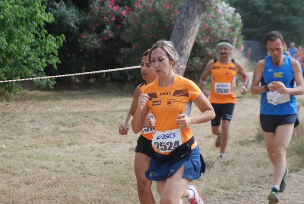 Solstizio d'estate ( C.E.)  (14/06/2015) 00059