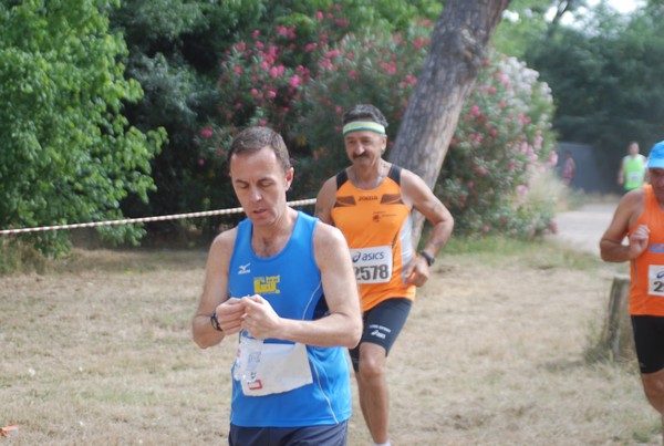 Solstizio d'estate ( C.E.)  (14/06/2015) 00060