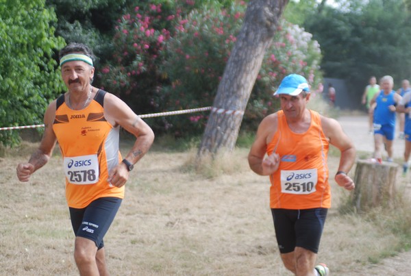 Solstizio d'estate ( C.E.)  (14/06/2015) 00061