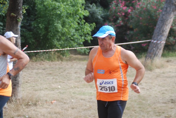 Solstizio d'estate ( C.E.)  (14/06/2015) 00062