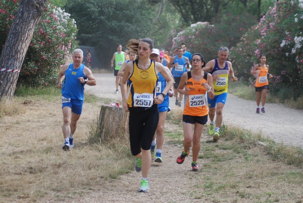 Solstizio d'estate ( C.E.)  (14/06/2015) 00063