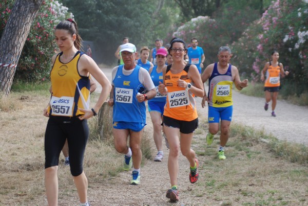 Solstizio d'estate ( C.E.)  (14/06/2015) 00064