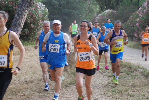 Solstizio d'estate ( C.E.)  (14/06/2015) 00065