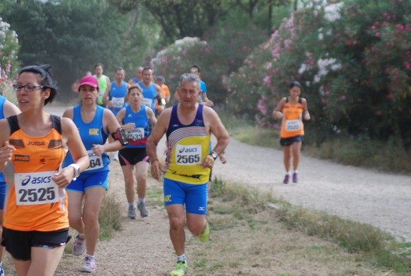 Solstizio d'estate ( C.E.)  (14/06/2015) 00066