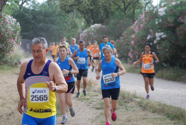 Solstizio d'estate ( C.E.)  (14/06/2015) 00067