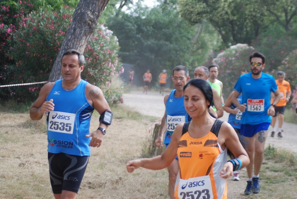 Solstizio d'estate ( C.E.)  (14/06/2015) 00069