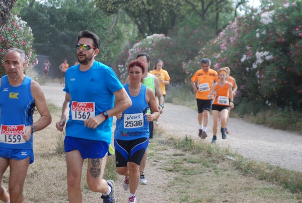 Solstizio d'estate ( C.E.)  (14/06/2015) 00070