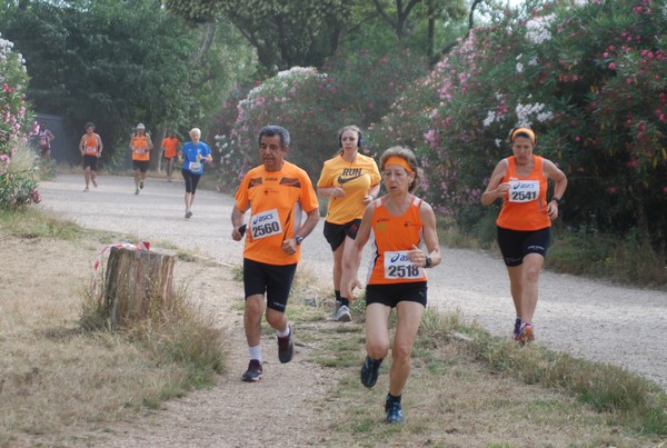 Solstizio d'estate ( C.E.)  (14/06/2015) 00073