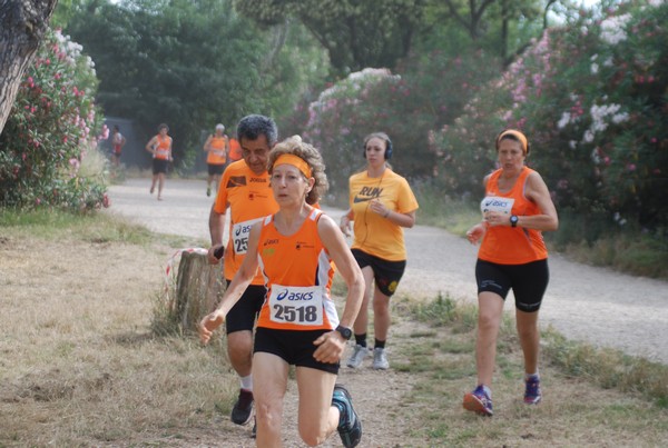 Solstizio d'estate ( C.E.)  (14/06/2015) 00075