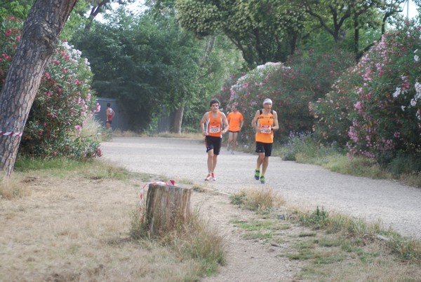 Solstizio d'estate ( C.E.)  (14/06/2015) 00078