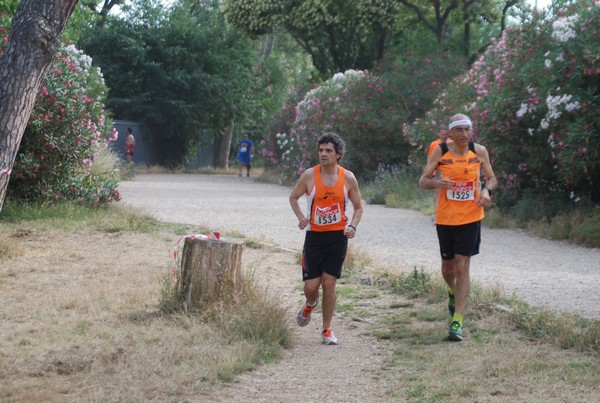 Solstizio d'estate ( C.E.)  (14/06/2015) 00081