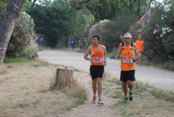 Solstizio d'estate ( C.E.)  (14/06/2015) 00082