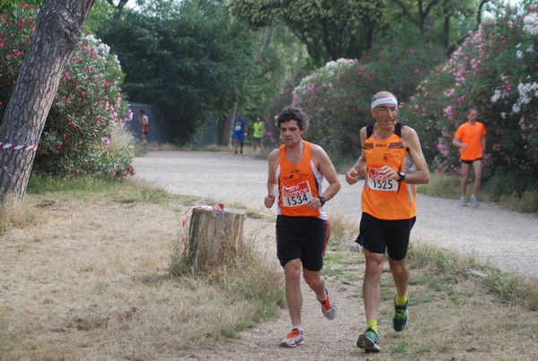 Solstizio d'estate ( C.E.)  (14/06/2015) 00083