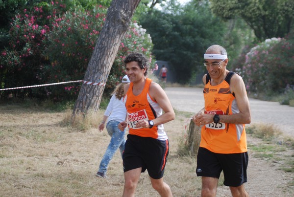 Solstizio d'estate ( C.E.)  (14/06/2015) 00085