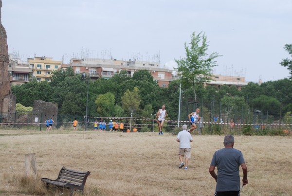 Solstizio d'estate ( C.E.)  (14/06/2015) 00089