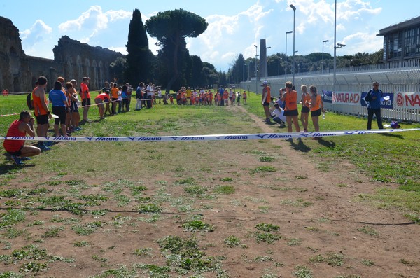 Trofeo Arancini Podistica Solidarietà (27/09/2015) 00027