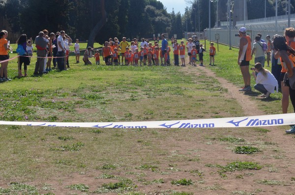 Trofeo Arancini Podistica Solidarietà (27/09/2015) 00028