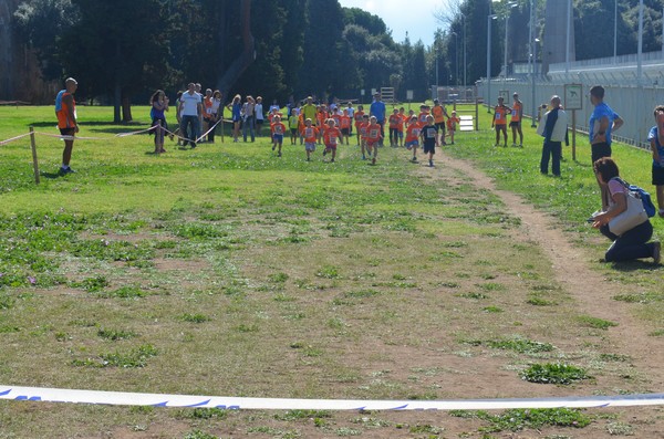 Trofeo Arancini Podistica Solidarietà (27/09/2015) 00057