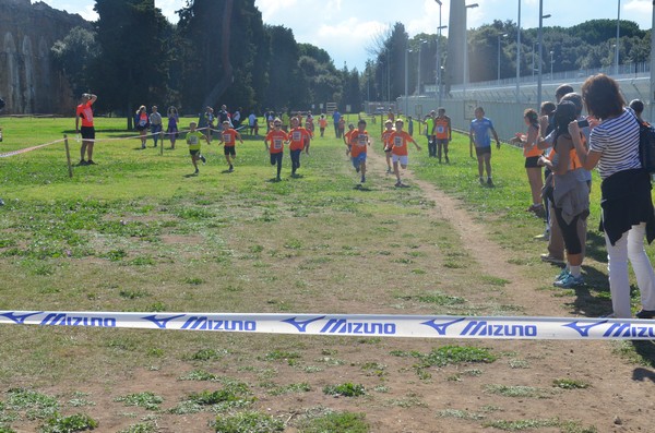 Trofeo Arancini Podistica Solidarietà (27/09/2015) 00088
