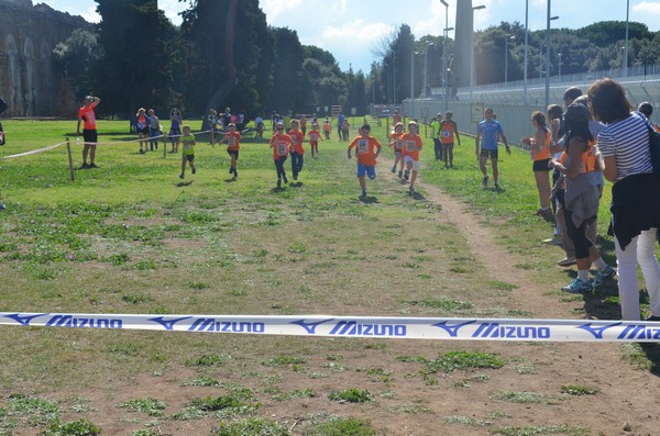 Trofeo Arancini Podistica Solidarietà (27/09/2015) 00089