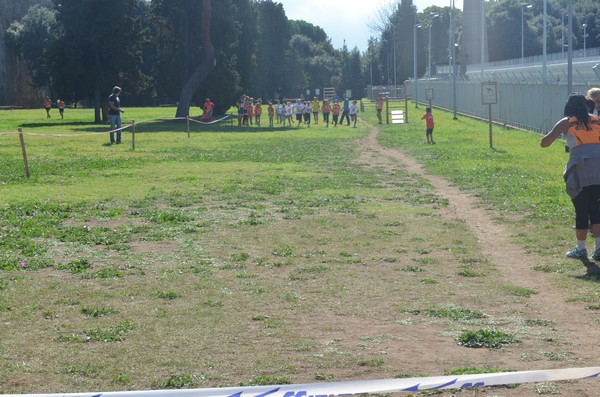 Trofeo Arancini Podistica Solidarietà (27/09/2015) 00107