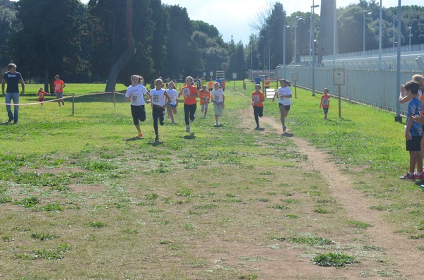 Trofeo Arancini Podistica Solidarietà (27/09/2015) 00109