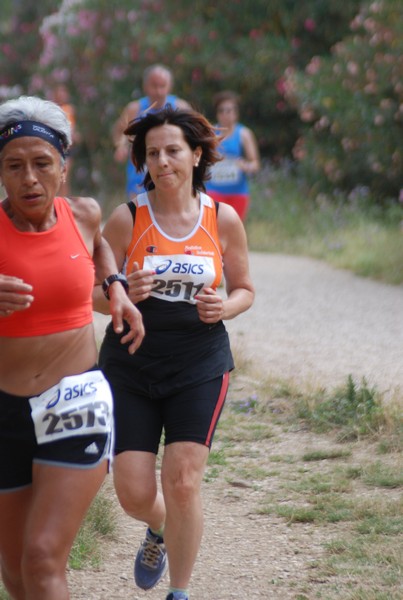 Solstizio d'estate ( C.E.)  (14/06/2015) 00001