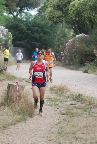 Solstizio d'estate ( C.E.)  (14/06/2015) 00006