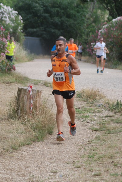 Solstizio d'estate ( C.E.)  (14/06/2015) 00010