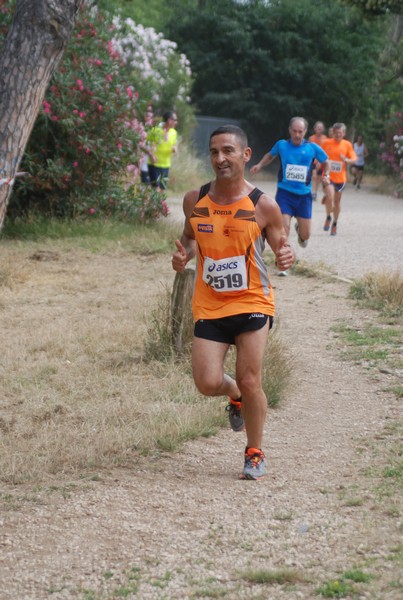 Solstizio d'estate ( C.E.)  (14/06/2015) 00011