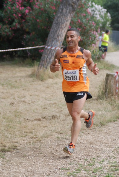 Solstizio d'estate ( C.E.)  (14/06/2015) 00012
