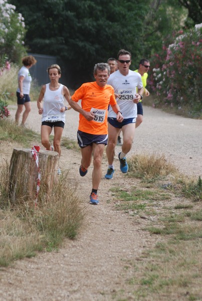 Solstizio d'estate ( C.E.)  (14/06/2015) 00014