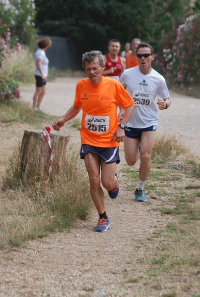 Solstizio d'estate ( C.E.)  (14/06/2015) 00016