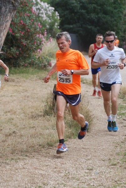 Solstizio d'estate ( C.E.)  (14/06/2015) 00017
