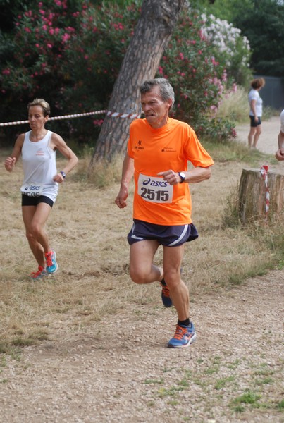 Solstizio d'estate ( C.E.)  (14/06/2015) 00018