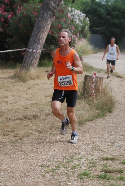 Solstizio d'estate ( C.E.)  (14/06/2015) 00022