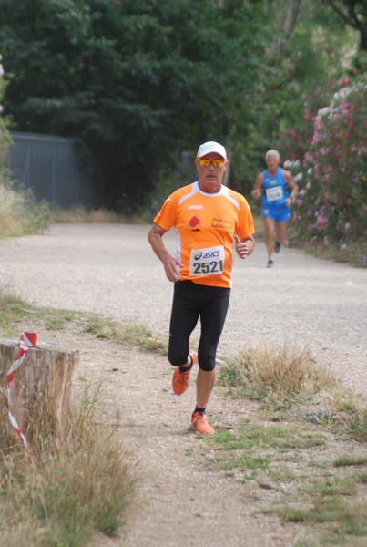 Solstizio d'estate ( C.E.)  (14/06/2015) 00025